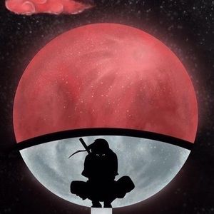 Meet your Posher, Abigail